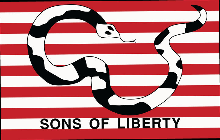 Sons of Liberty Flag Dead Cell Solidus Snake From Metal Gear Solid 2