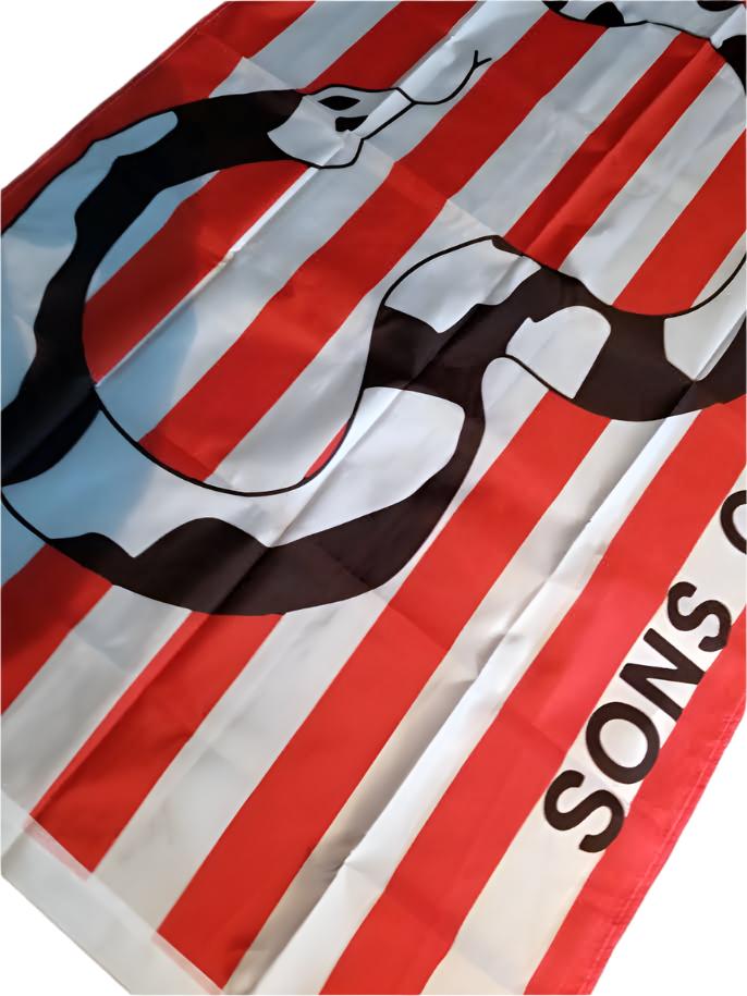 Sons of Liberty Flag Dead Cell Solidus Snake From Metal Gear Solid 2